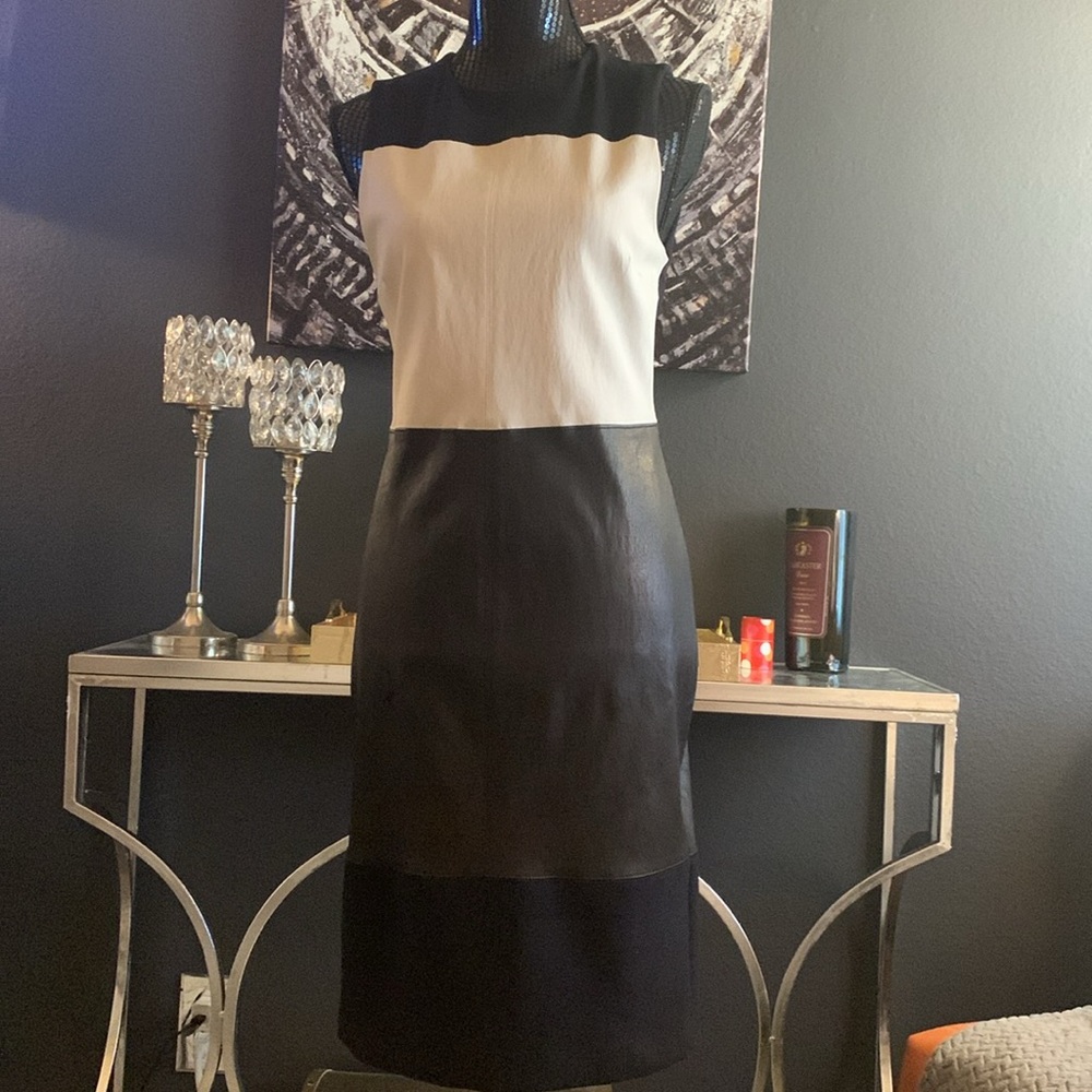 A.L.C. Curil Colorblock Lambskin Leather Panel Sheath Dress - Picture 4 of 8